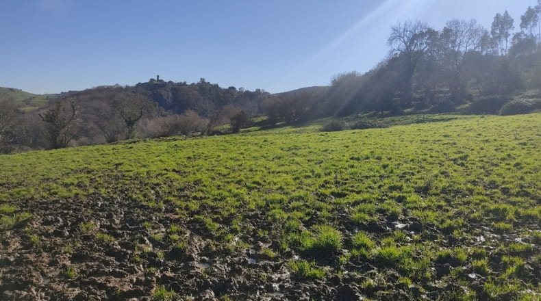Asturias - Vilde - 6000m2