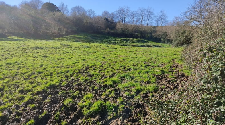 Asturias - Vilde - 6000m2