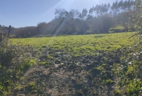 Vilde 6000&nbsp;m²
