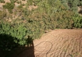 Detached villa with land for sale on JV-7041, Villanueva del Arzobispo, ref: TR94293 photo