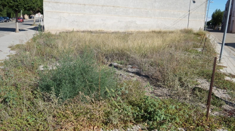 Lérida - Torregrossa - 330m2
