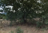 Sòl urbà en venda a la Camino del Rubial, Fresno de Cantespino, ref.: TR94311 foto