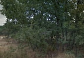 Sòl urbà en venda a la Camino del Rubial, Fresno de Cantespino, ref.: TR94311 foto