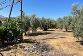 Dehesa de los Montes 36826&nbsp;m² 