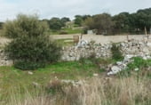 Farm for rent on Cierro Belairas, Colmenar Viejo, ref: TR94317 photo