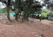 Terreno con Piscina en venta en la Calle Castillo de Mota, Valdemorillo, ref: TR94330 foto