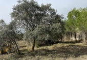 Sòl urbà en venda a la Carrer Crespia, Cabra del Camp, ref.: TR94329 foto