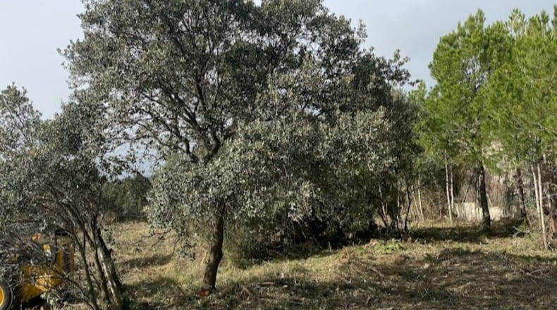 Tarragona - Cabra del Camp - 850m2