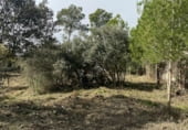 Sòl urbà en venda a la Carrer Crespia, Cabra del Camp, ref.: TR94329 foto