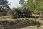 Sòl urbà en venda a la Carrer Crespia, Cabra del Camp, ref.: TR94329 foto