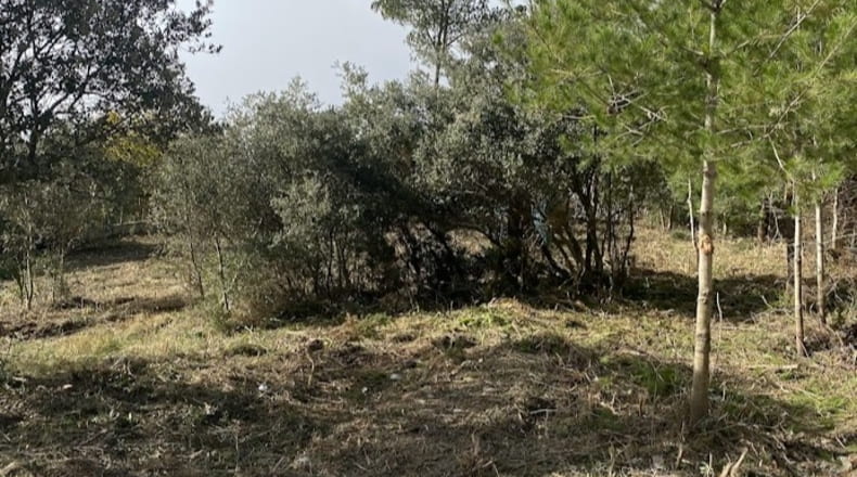 Tarragona - Cabra del Camp - 850m2