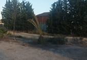 Parcel·la urbanitzable en venda a la PARAJE LOS MENGUES, Múrcia, ref.: TR94582 foto