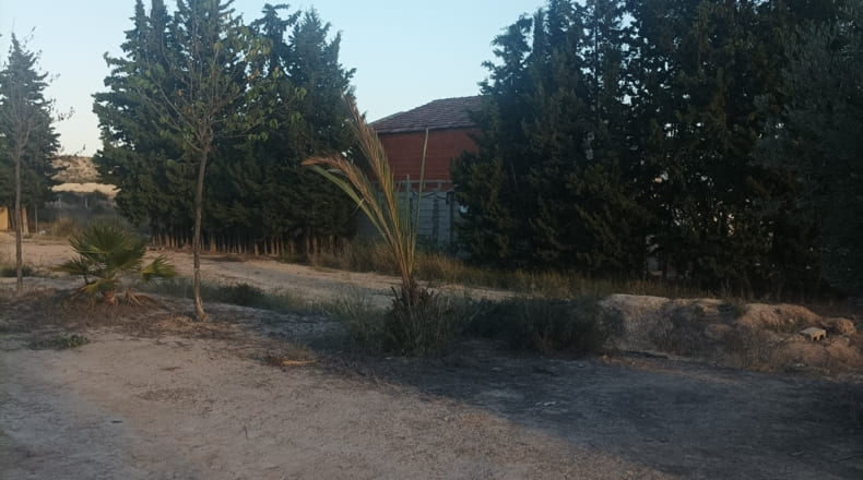 Múrcia - Murcia - 1500m2