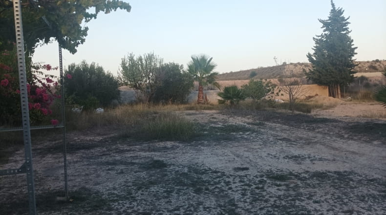 Múrcia - Murcia - 1500m2
