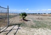Non-developable land for rent on SE-3201, Carmona, ref: TR94639 photo