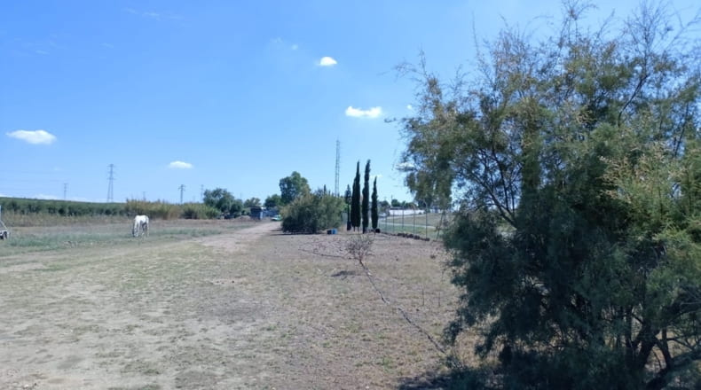 Sevilla - El Viso del Alcor - 13000m2