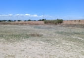 Non-developable land for rent on SE-3201, Carmona, ref: TR94639 photo