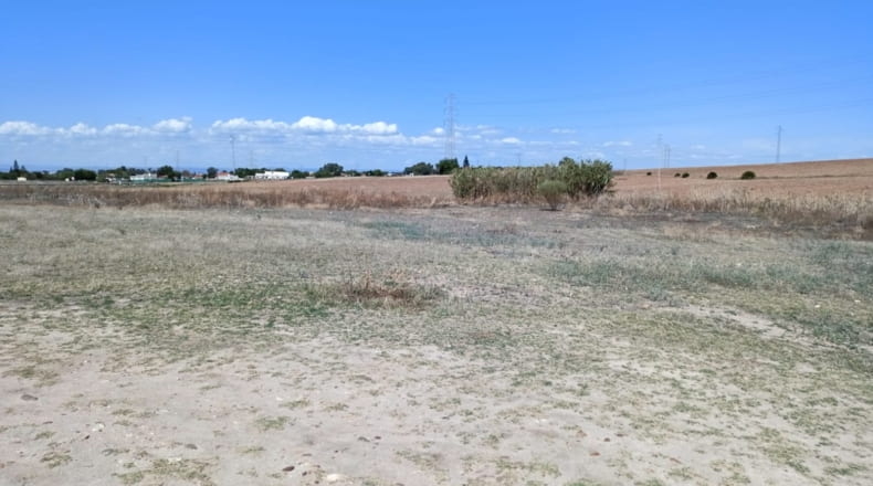 Sevilla - El Viso del Alcor - 13000m2