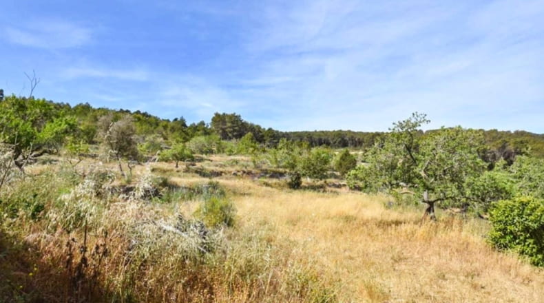 Illes Balears - Sant Antoni de Portmany - 63206m2