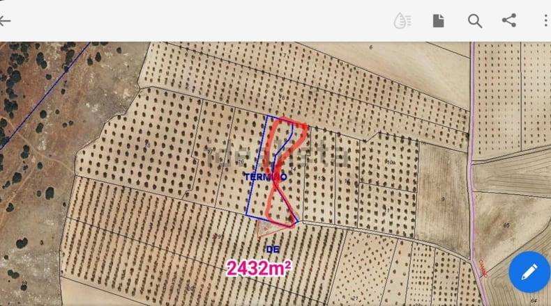 Toledo - El Romeral - 40000m2