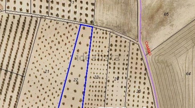 Toledo - El Romeral - 40000m2