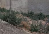 Land suitable for development for sale on Calle Real, Ardón, ref: TR94658 photo