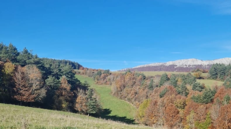 Navarra - Abaurrea Alta - 60000m2