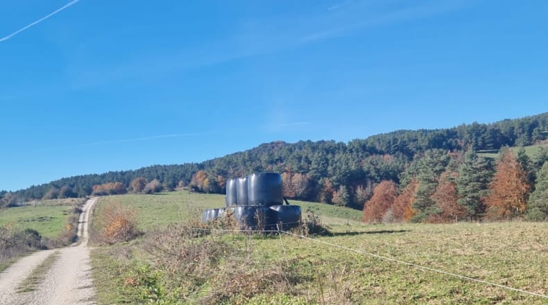 Navarra - Abaurrea Alta - 60000m2