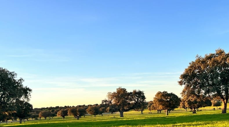 Salamanca - Salamanca - 5250000m2