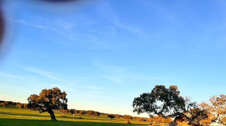 Salamanca - Salamanca - 5250000m2