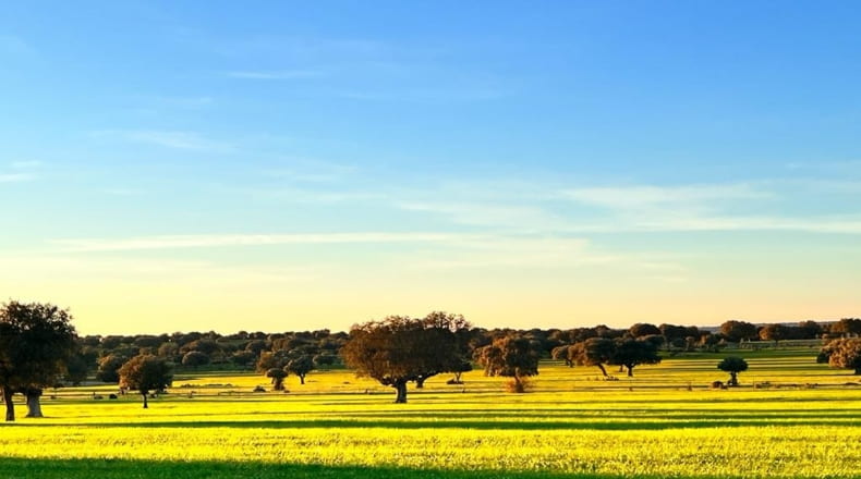 Salamanca - Salamanca - 5250000m2