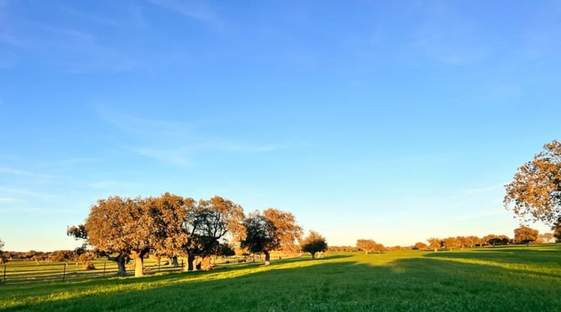 Salamanca - Salamanca - 5250000m2
