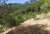 Terreno no urbanizable en venta en la Terreno en Paüls sant roc, Paüls, ref: TR94780 foto