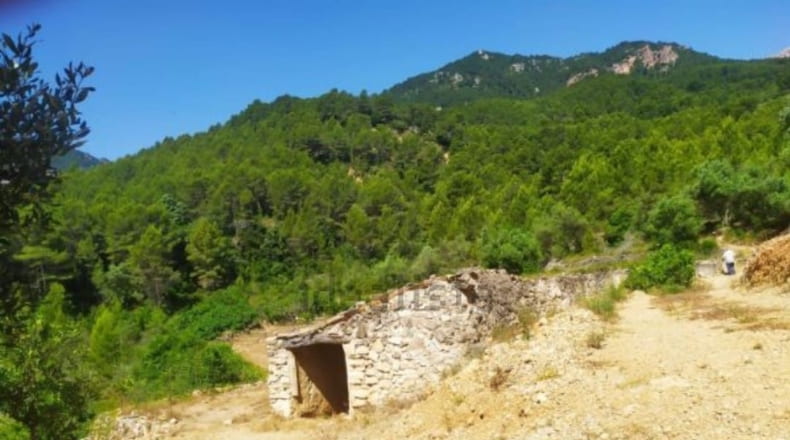 Tarragona - Paüls - 4900m2
