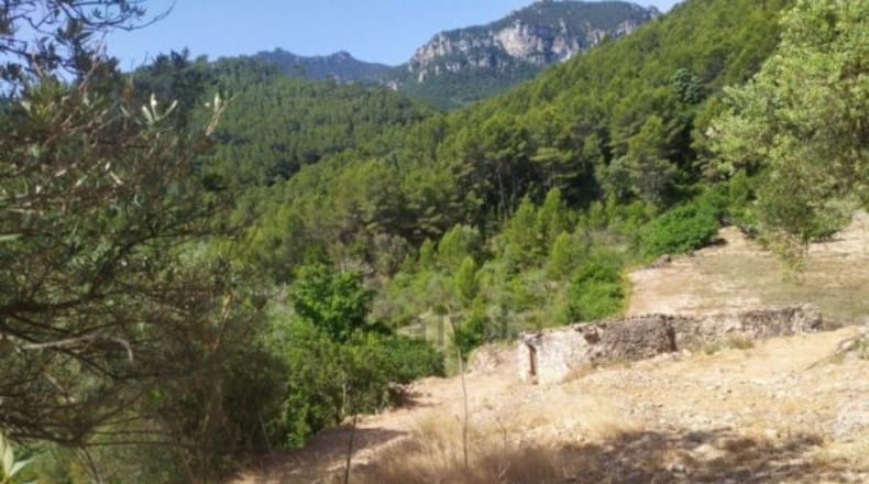 Tarragona - Paüls - 4900m2