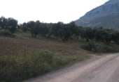 Terreny no urbanitzable en venda a la Lagunillas, Antequera, ref.: TR95703 foto