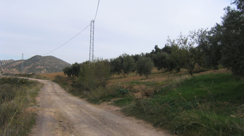 Málaga - Antequera - 17500m2