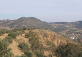 Terreny no urbanitzable en venda a la Lagunillas, Antequera, ref.: TR95703 foto