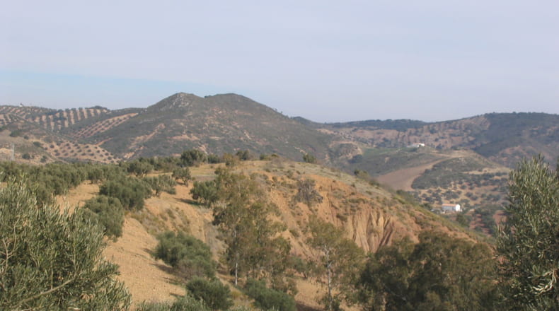 Málaga - Antequera - 17500m2