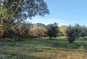 Sierra Gorda 500&nbsp;m² 