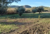 Non-developable land for rent on A-355, Sierra Gorda, ref: TR95712 photo