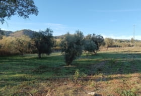 Sierra Gorda 500&nbsp;m² 