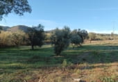 Non-developable land for rent on A-355, Sierra Gorda, ref: TR95712 photo