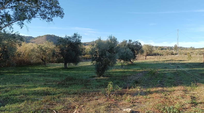 Málaga - Sierra Gorda - 500m2