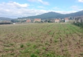 Suelo urbano en venta en la As Punxeiras Baixas, Ames, ref: TR95716 foto