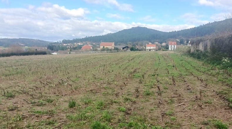 La Coruña - As Cortes - 5000m2