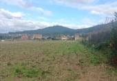 Suelo urbano en venta en la As Punxeiras Baixas, Ames, ref: TR95716 foto
