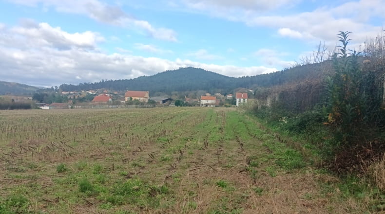 La Coruña - As Cortes - 5000m2