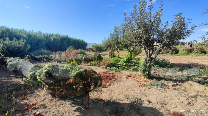 Granada - Ogíjares - 7000m2
