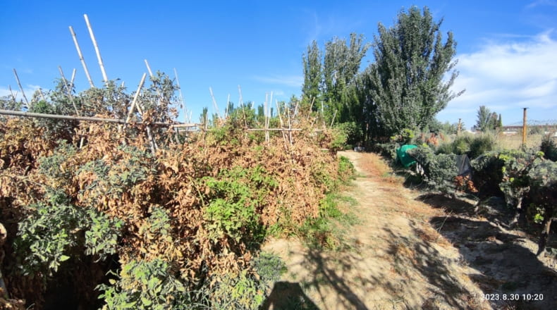 Granada - Ogíjares - 7000m2